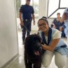 Cães da Guarda Municipal de Santos visitam a Santa Casa